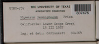 Image Associated With the Occurence
